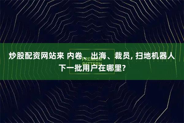 炒股配资网站来 内卷、出海、裁员, 扫地机器人下一批用户在哪里?