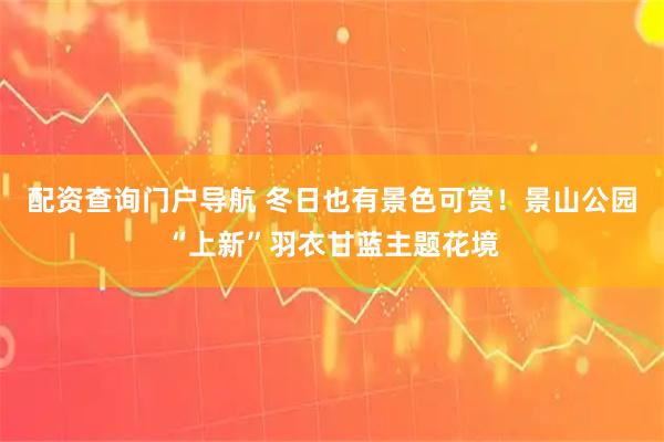 配资查询门户导航 冬日也有景色可赏！景山公园“上新”羽衣甘蓝主题花境