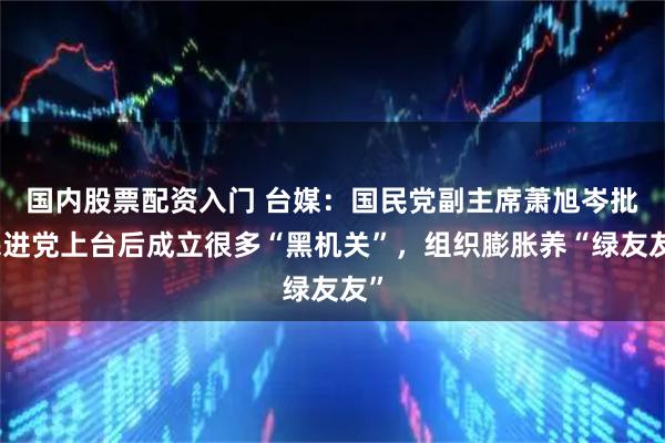 国内股票配资入门 台媒：国民党副主席萧旭岑批民进党上台后成立很多“黑机关”，组织膨胀养“绿友友”